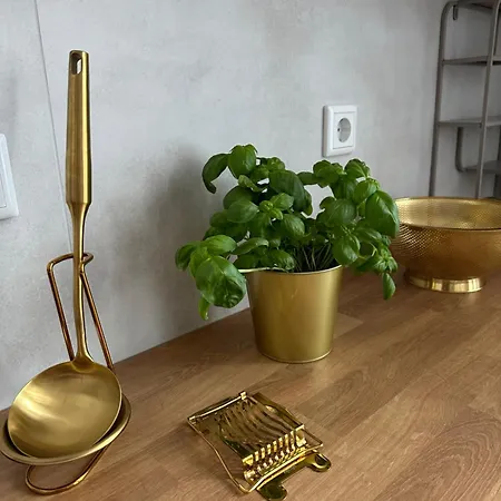 Premium-apartment Im Duisburger Sueden, Naehe Duesseldorf Flughafen & Messe, Komplett Ausgestattetes Mit Modernen Altbau-flair Apartment
