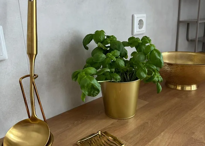 Premium-apartment Im Duisburger Sueden, Naehe Duesseldorf Flughafen & Messe, Komplett Ausgestattetes Mit Modernen Altbau-flair アパート